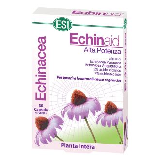 echinaid kapsule za jačanje imuniteta ishop online prodaja